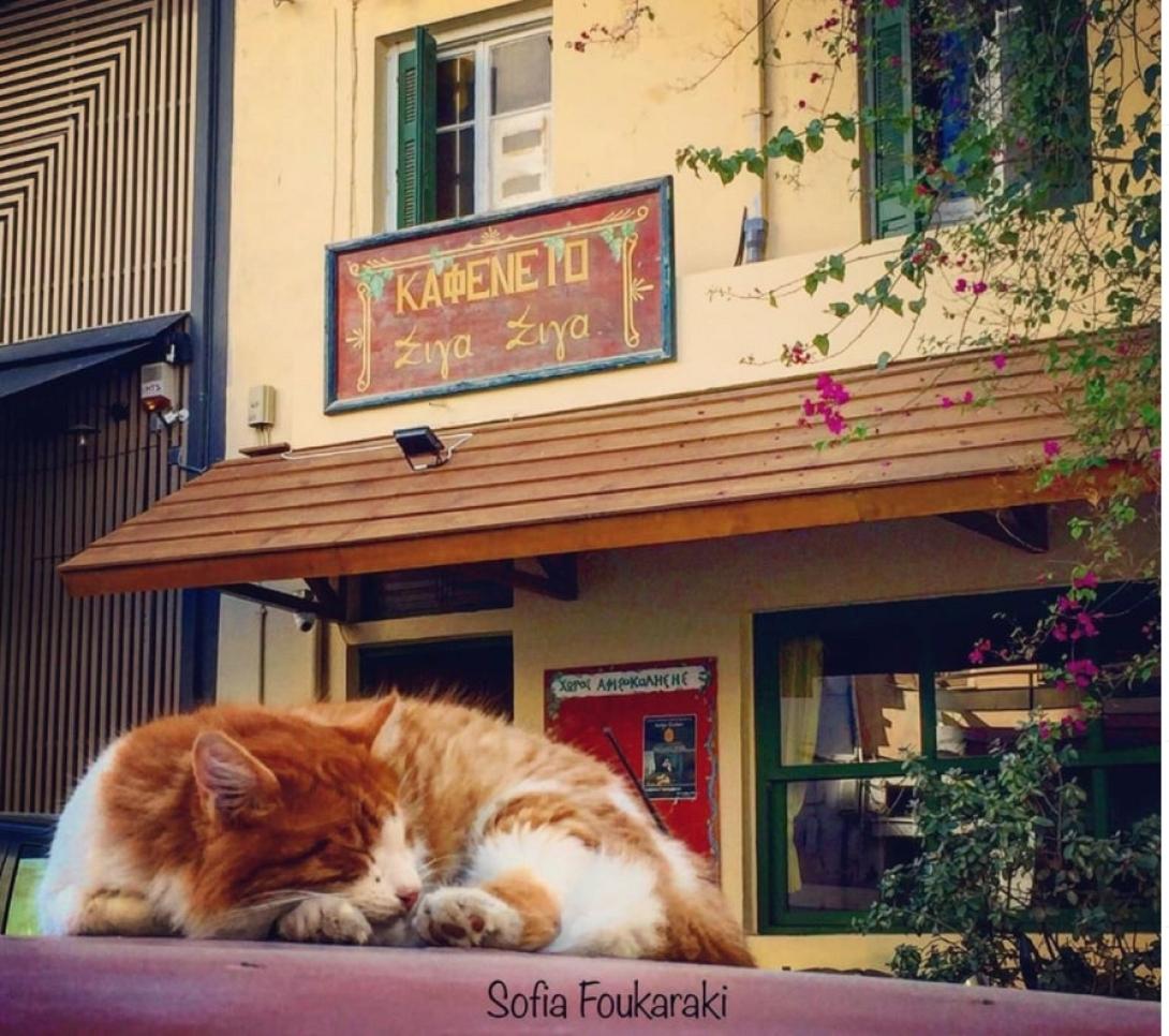 kafeneio.jpg