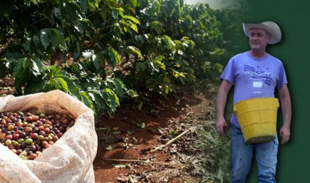 καφες - κολομβια