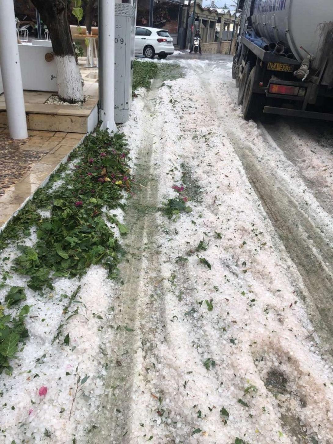 Εικόνες από περιοχές του Δήμου Χερσονήσου - Φωτογραφία από τα Μάλια