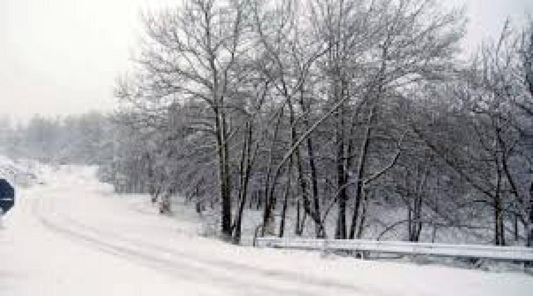 Καλλιεργειες