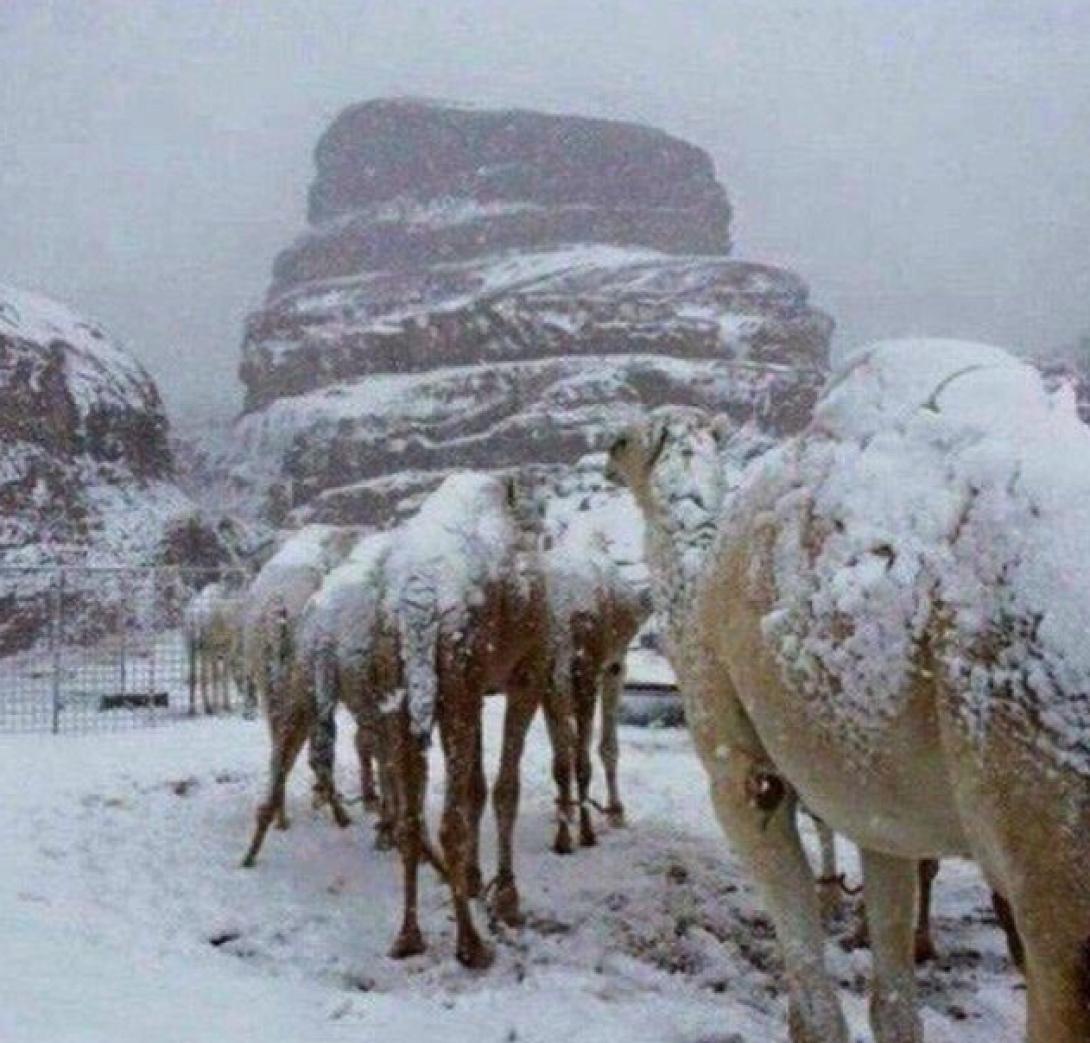 χιόνι σαουδική αραβία
