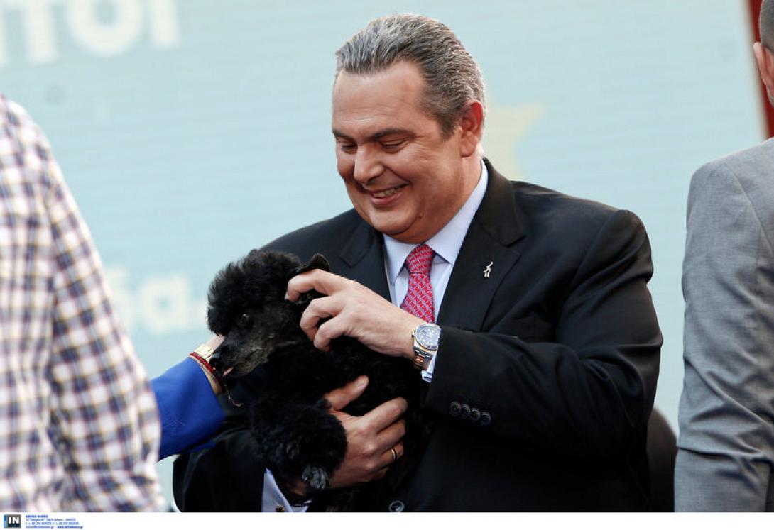 καμμενος κανις.jpg