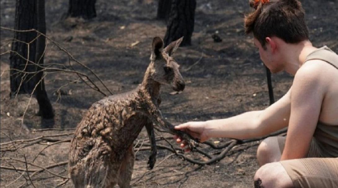 Πυρκαγιές στην Αυστραλία