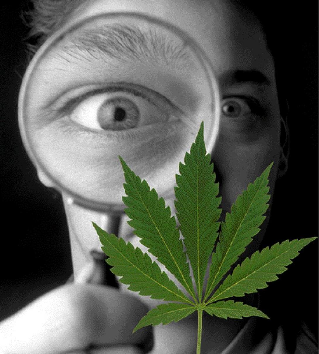  Η σχιζοφρένεια και η χρήση κάνναβης "μοιράζονται" κοινά γονίδια