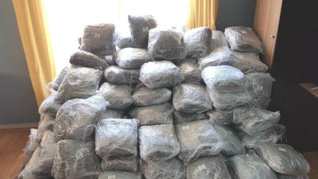 πάτρα κάνναβη