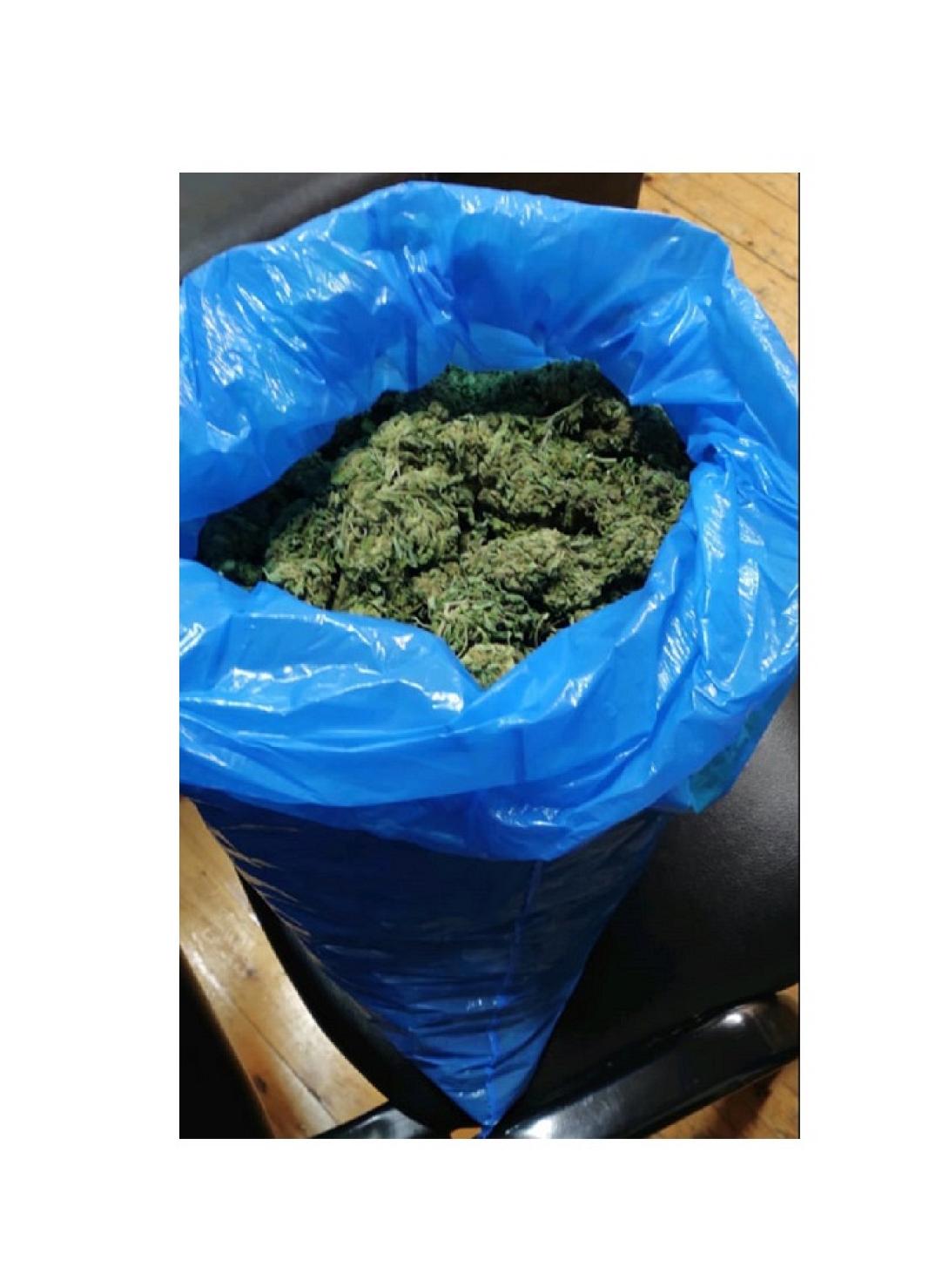 κάνναβη μυλοπόταμος