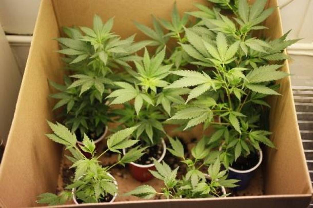 Ναρκωτικά και βεγγαλικά για "ζευγάρι" στη Σητεία 