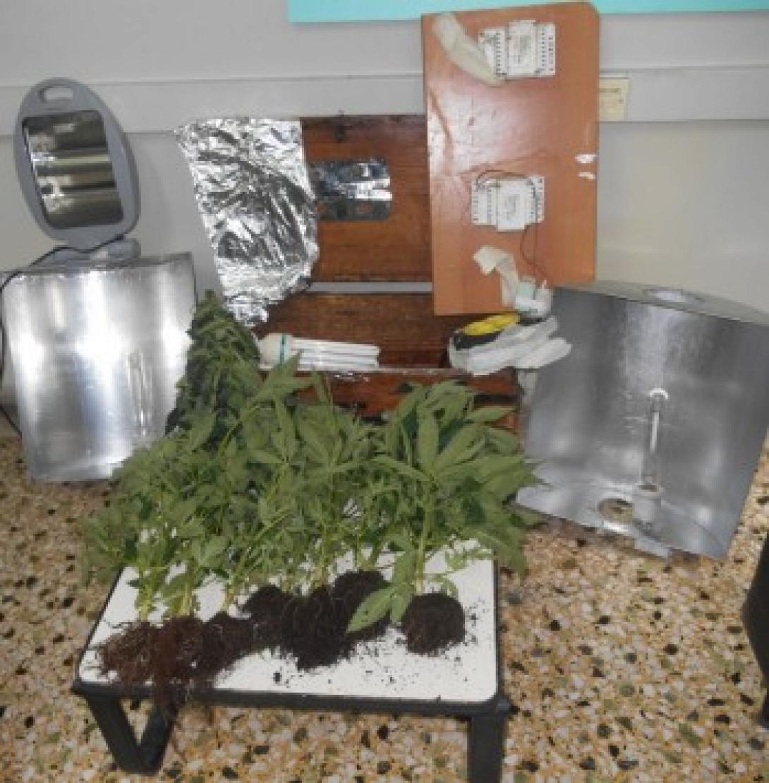 Με... πατέντες καλλιεργούσε κάνναβη μέσα στο πατρικό του! (φωτογραφίες)