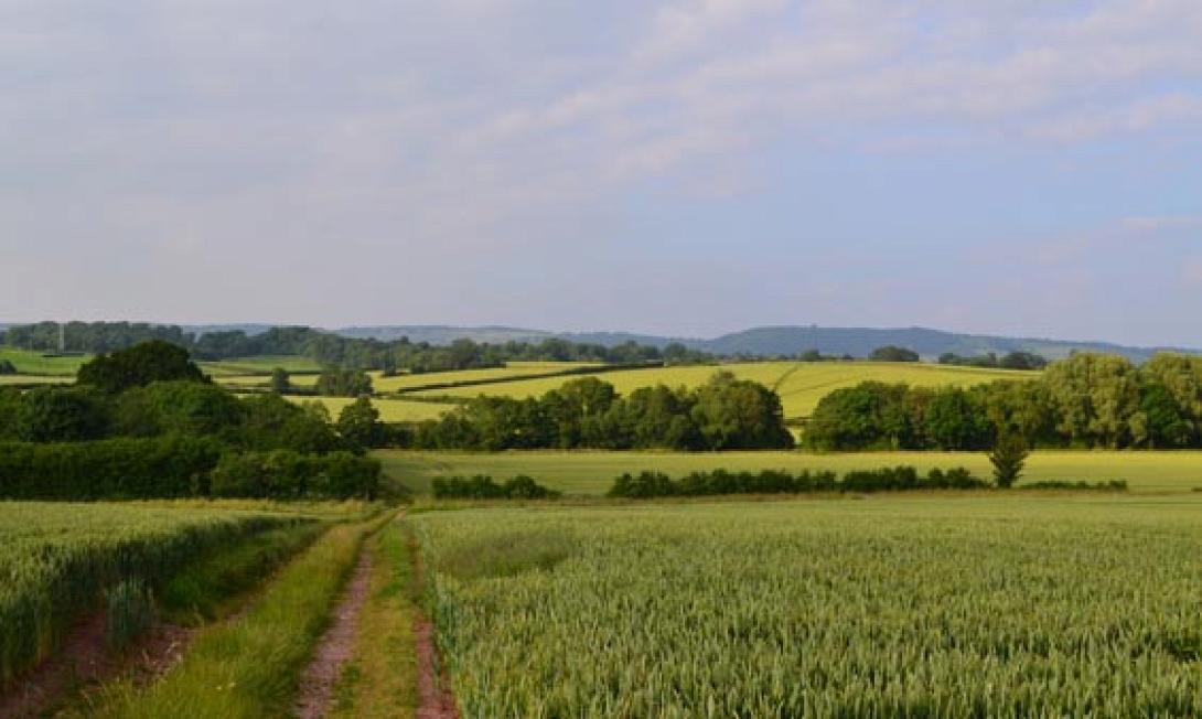 Το θετικότερο σενάριο για τους αγρότες επελέγη ως εθνική πρόταση για τη νέα ΚΑΠ