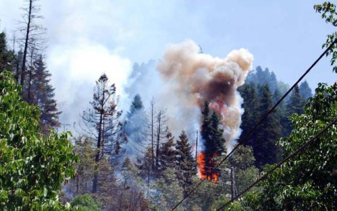 φωτιά καπανδρίτι