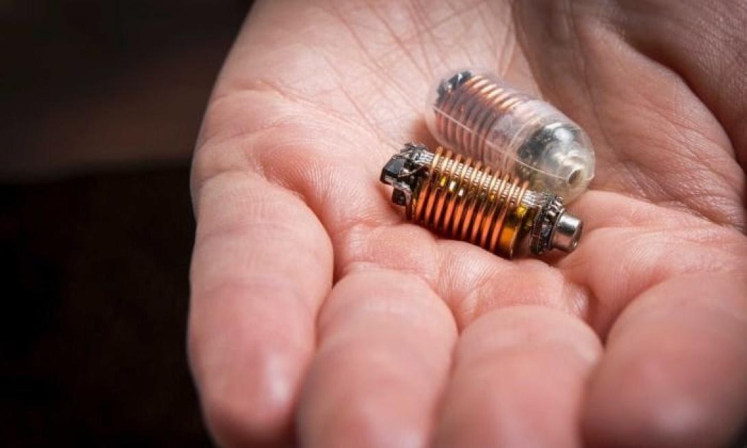 κάψουλα εντέρου