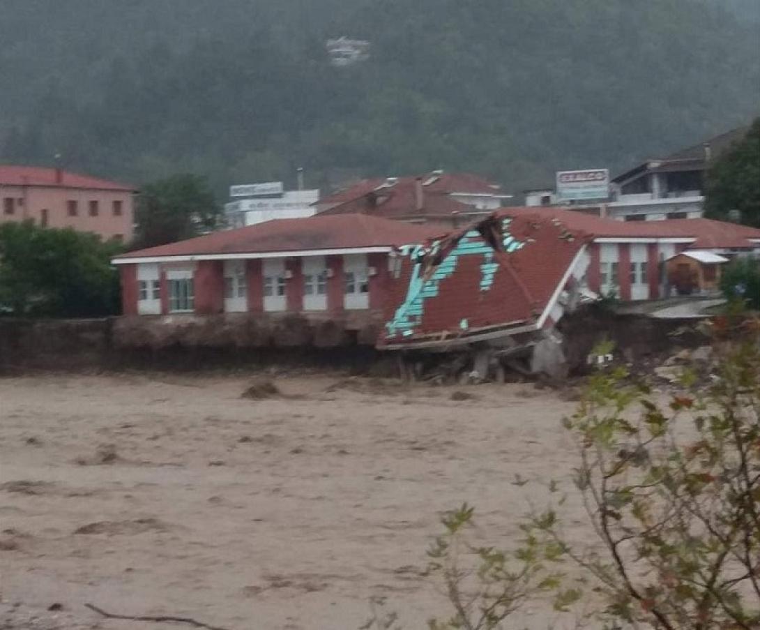 ιανός καρδίτσα