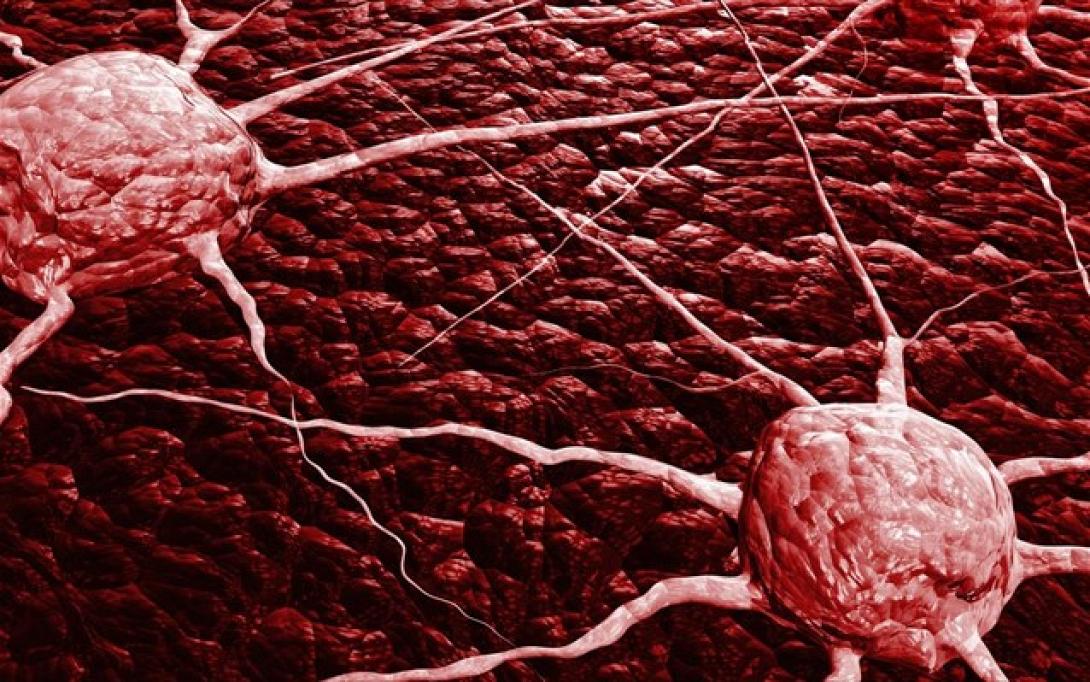 Νανοσωματίδια καταπολεμούν τα καρκινικά κύτταρα στο αίμα