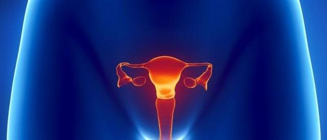 Εκδήλωση για τον καρκίνο του τραχήλου της μήτρας στις  Άνω Ασίτες