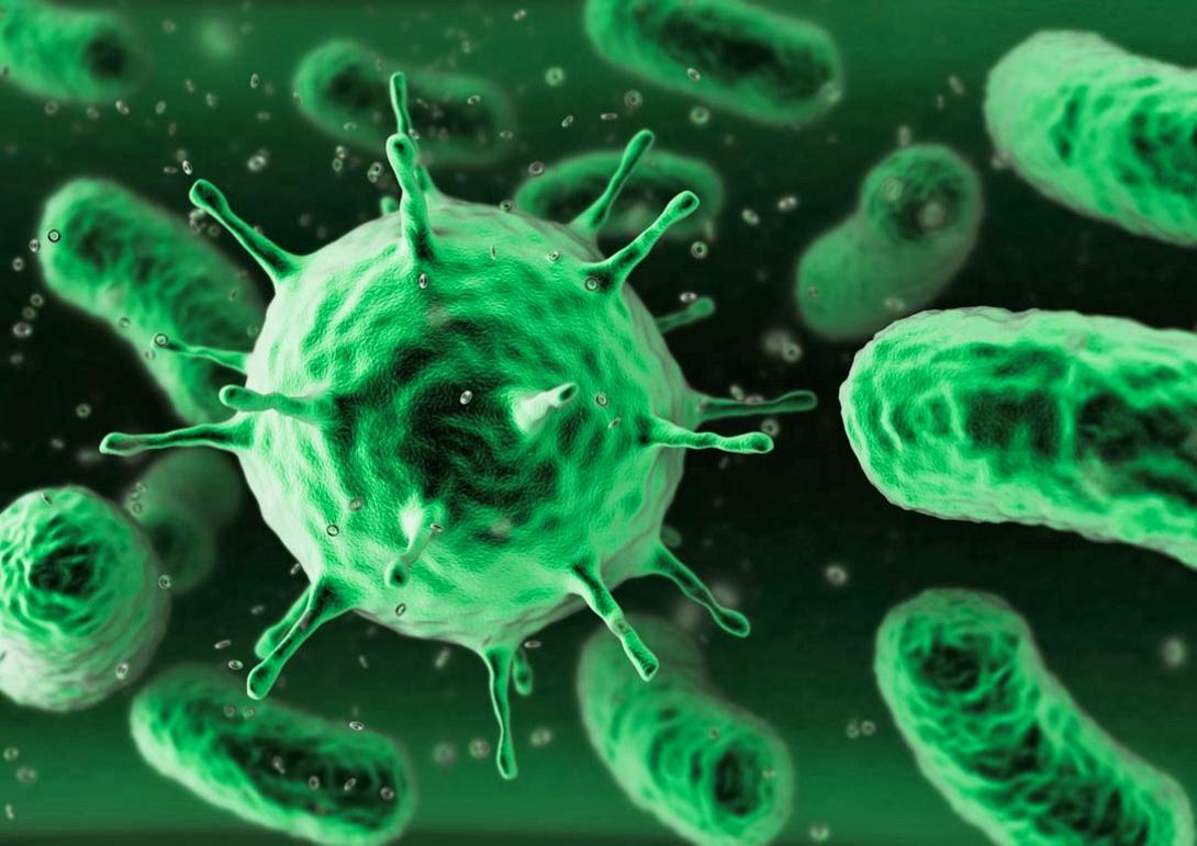 Υπάρχουν καρκίνοι που προτιμούν τους πλούσιους και άλλοι τους φτωχούς!