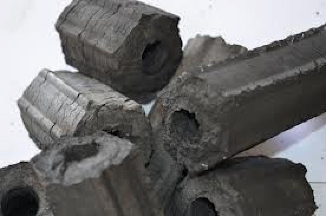 Ακτιβιστές της Greenpeace άδειασαν φορτηγό με κάρβουνα έξω από το σπίτι του Ολάντ