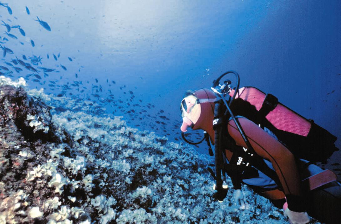 καταδυτικος τουρισμος