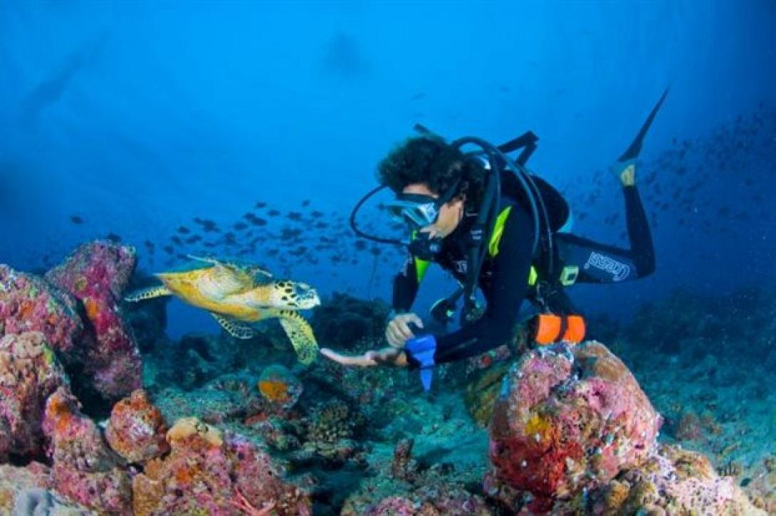 καταδυτικό πάρκο