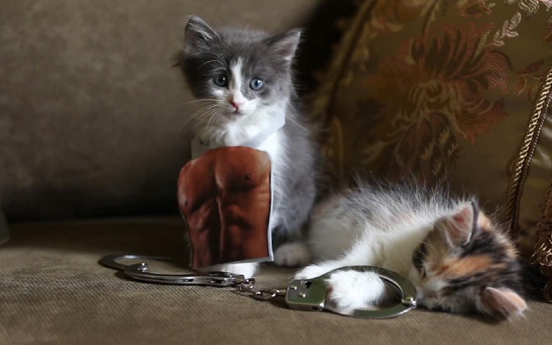 Σεισμική δόνηση μεγέθους 3,9 ρίχτερ κοντά στη Γαύδο