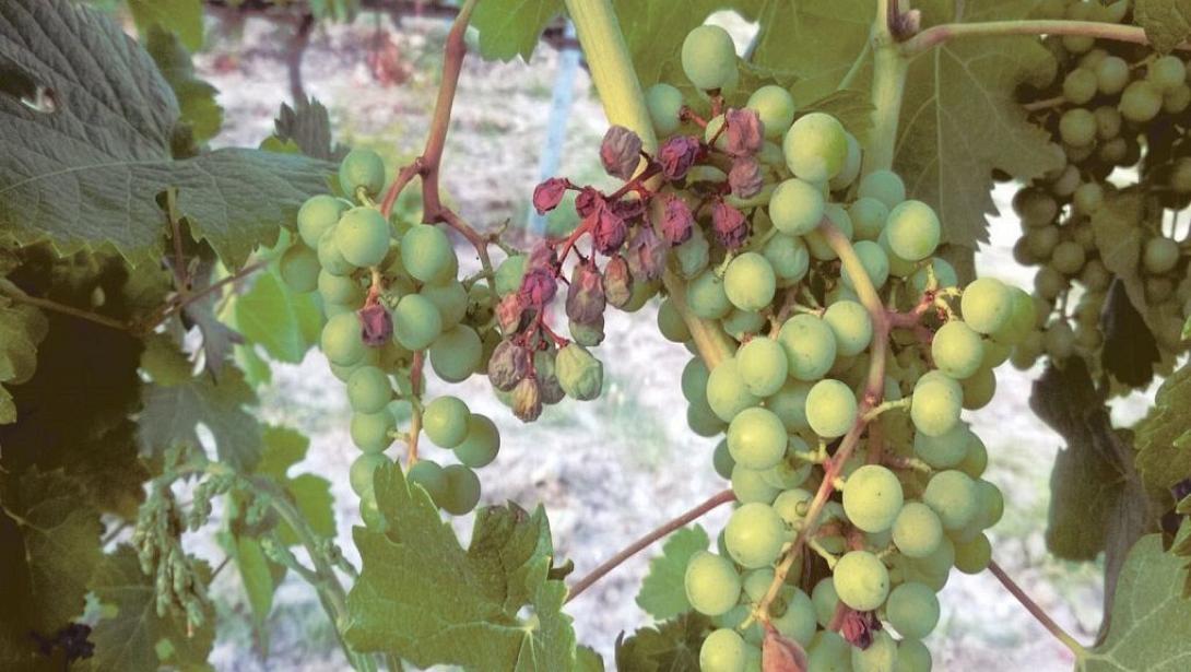 Φωτό αρχείου