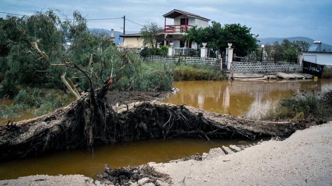 εύβοια ζορμπάς