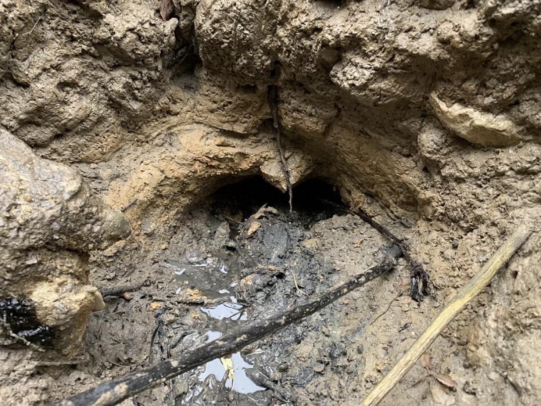 H καταβόθρα στη φυσική Λίμνη Κουρνά, στο Δήμο Αποκορώνου Κρήτης