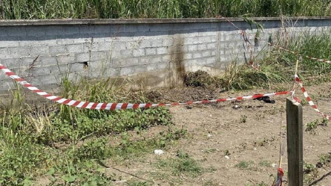 κατερινη δολοφονια