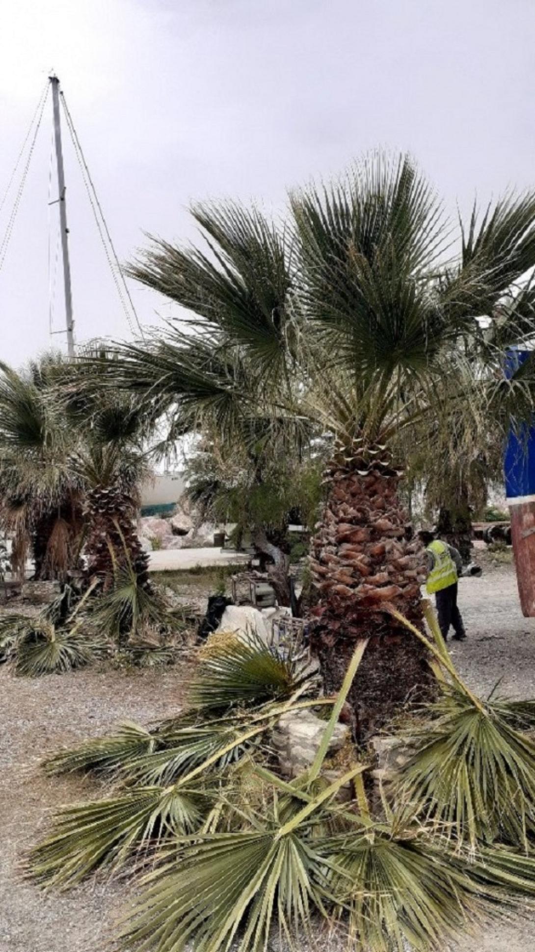 καθαριότητα δήμος φαιστού