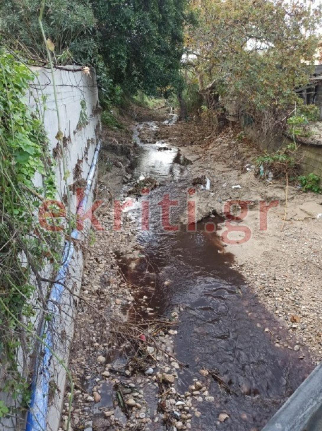 κατσίγαρος