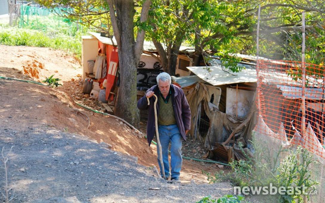 κρητικός κατσίκια αθήνα