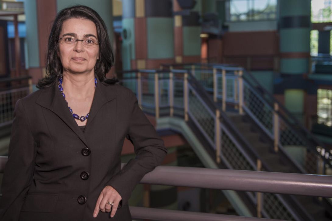 λυδια καβρακη