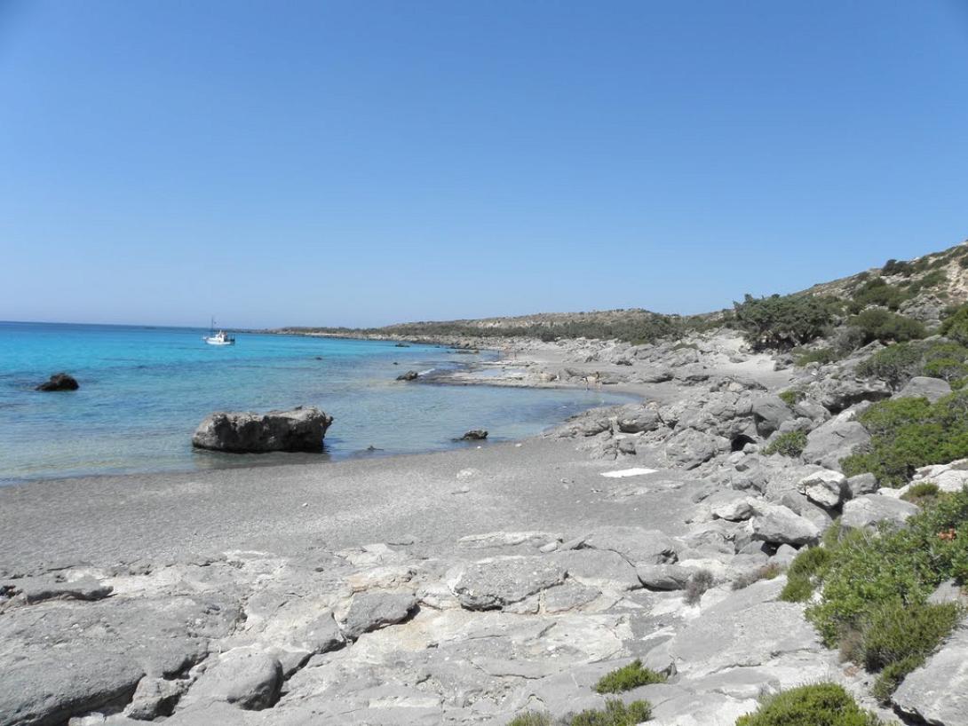 κεδροδασος