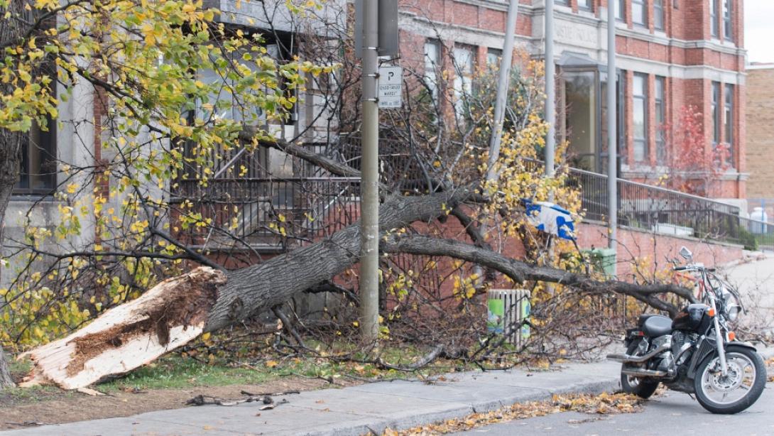 κεμπέκ θύελλα
