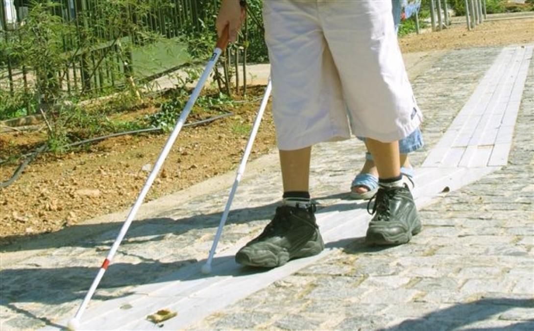 Στο Κέντρο Εκπαίδευσης και Αποκατάστασης Τυφλών το Βραβείο "Ευρωπαίου Πολίτη 2014"