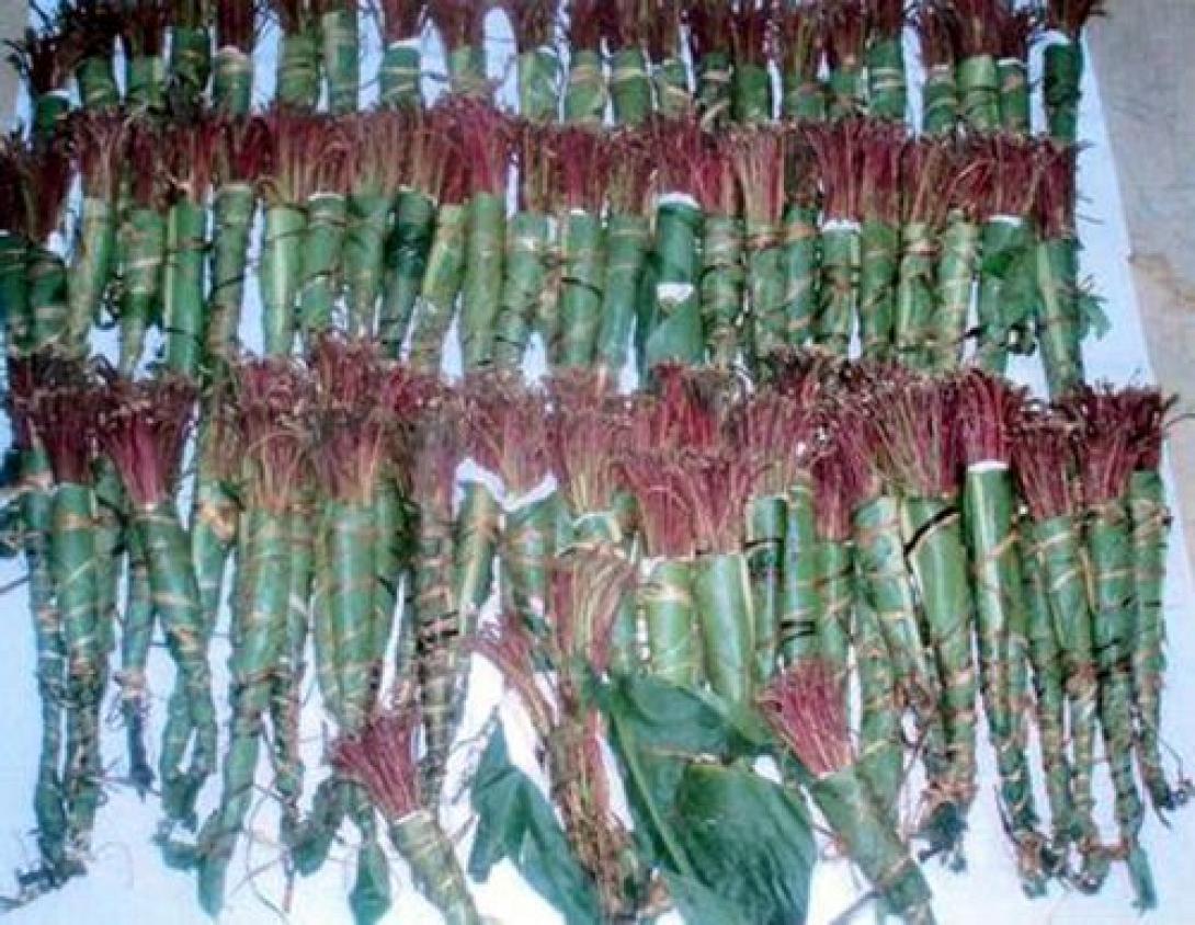 Μεγάλη ποσότητα ναρκωτικών ουσιών στο "Ελ. Βενιζέλος"