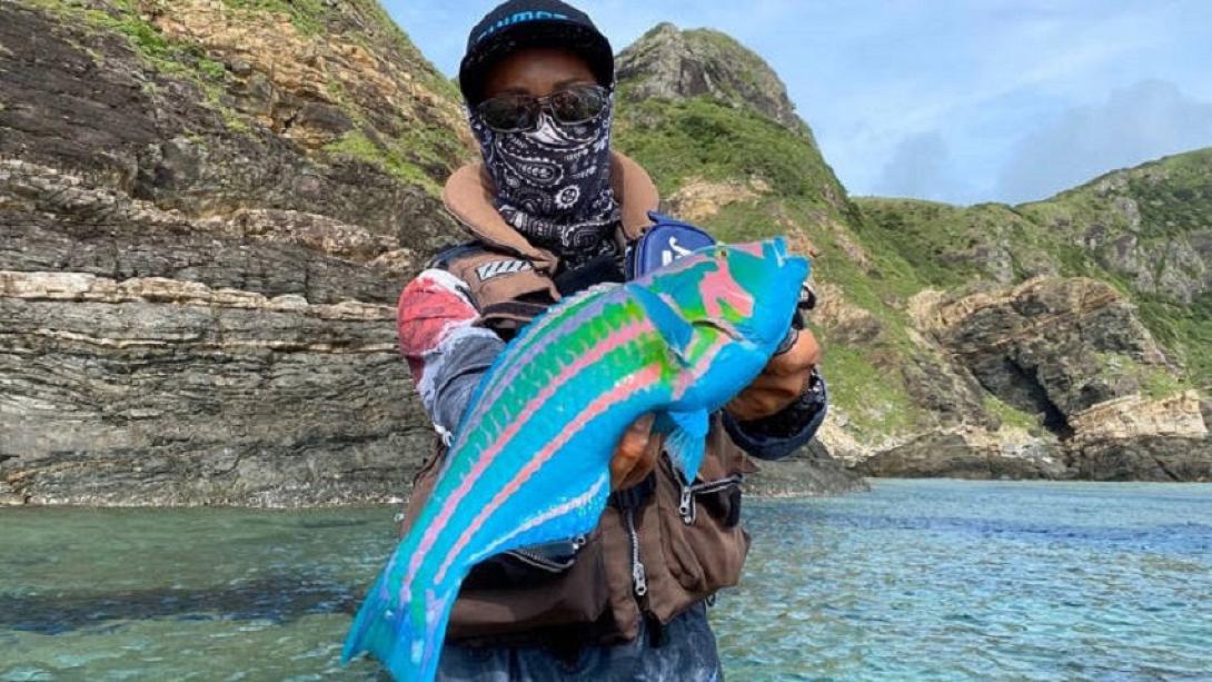 ψάρι «κινουμπέλα»