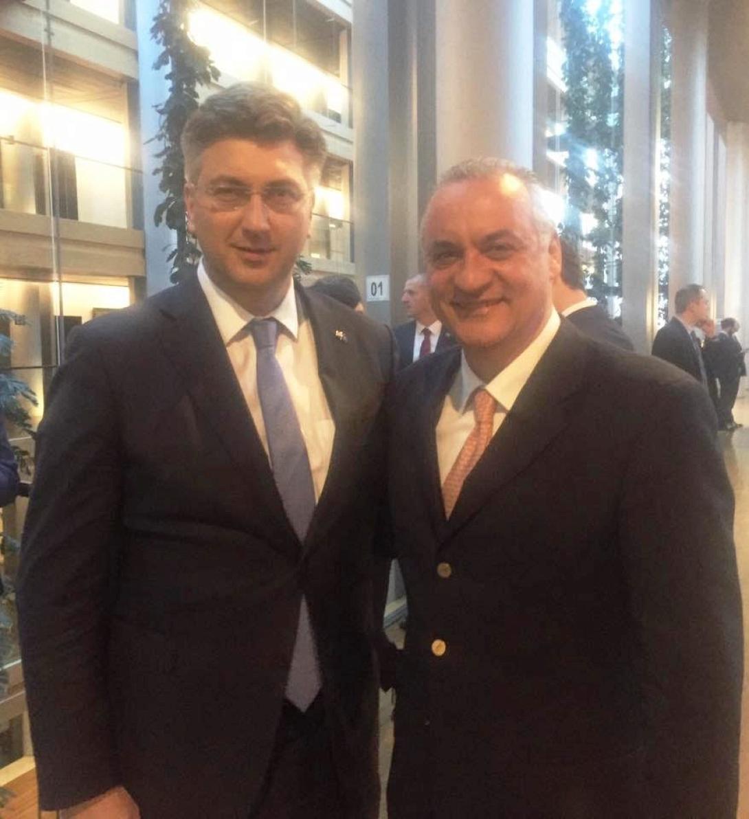 κεφαλογιάννης πλέκνοβιτς