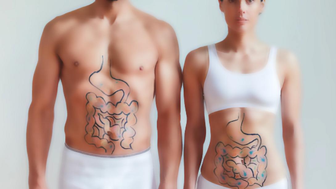 κοιλιοκάκη