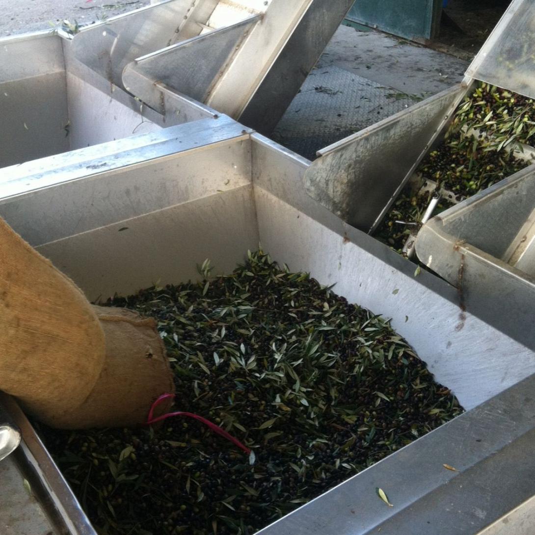 κοινη αλεση