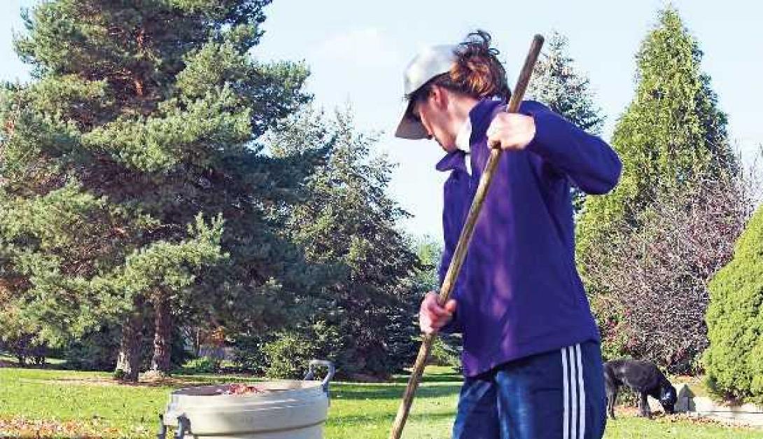 κοινωφελής εργασία