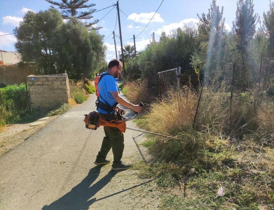 εργασίες αποψίλωσης