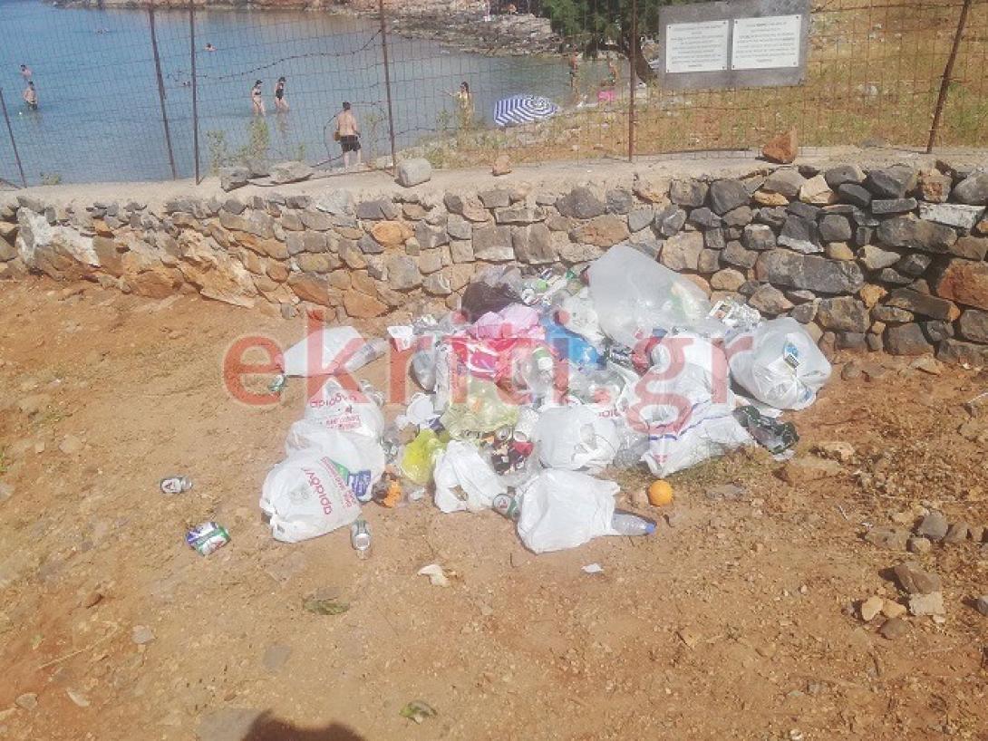 Κολοκύθα σκουπίδια