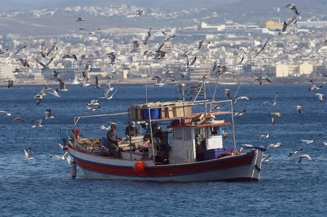 Άρση απαγόρευσης κολύμβησης – αλιείας στον κόλπο του Ηρακλείου