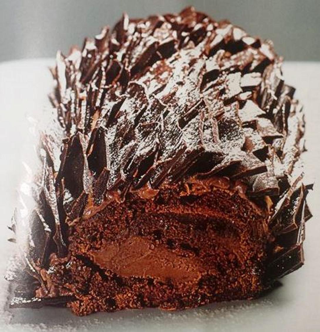 Χιονισμένος κορμός