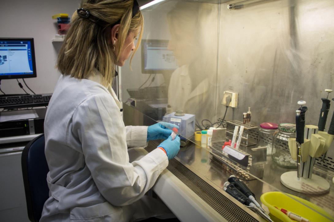 Φωτό αρχείου