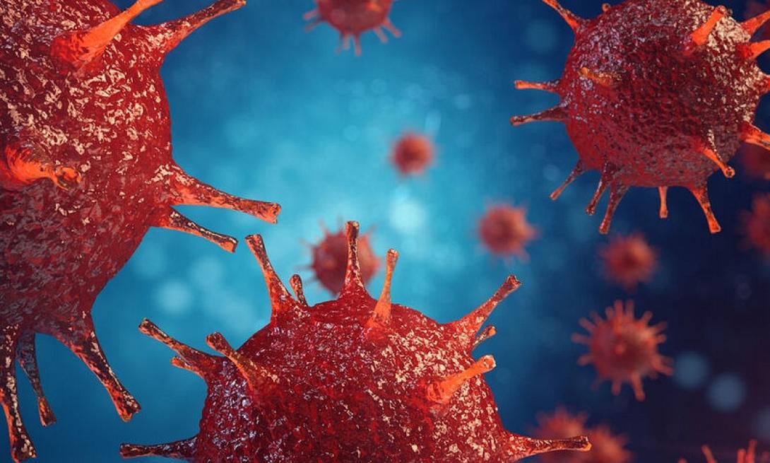 Έρευνες επιστημόνων