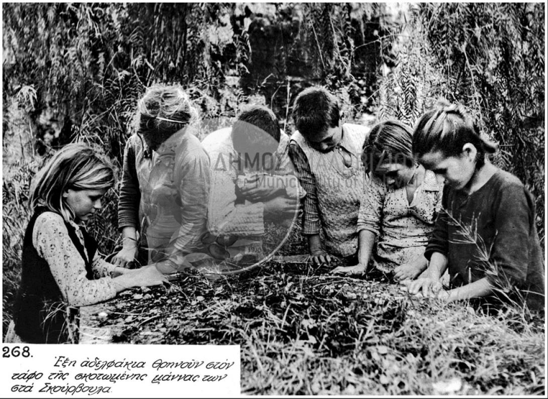 φωτογραφικο αρχειο
