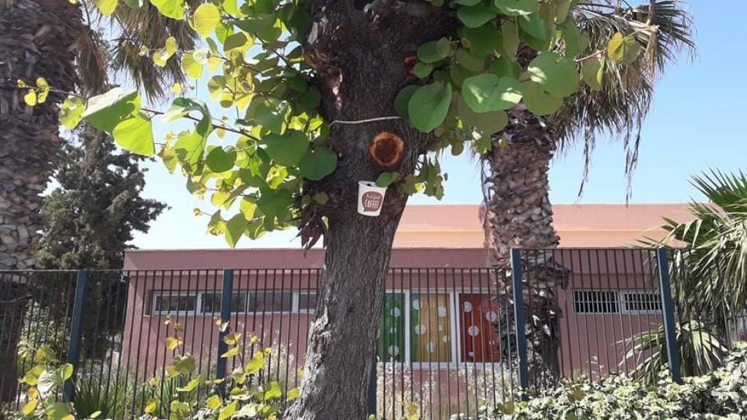 κουτσουπιά