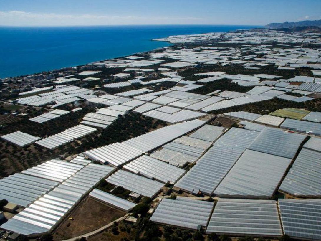 θερμοκηπια ιεραπετρα.jpg