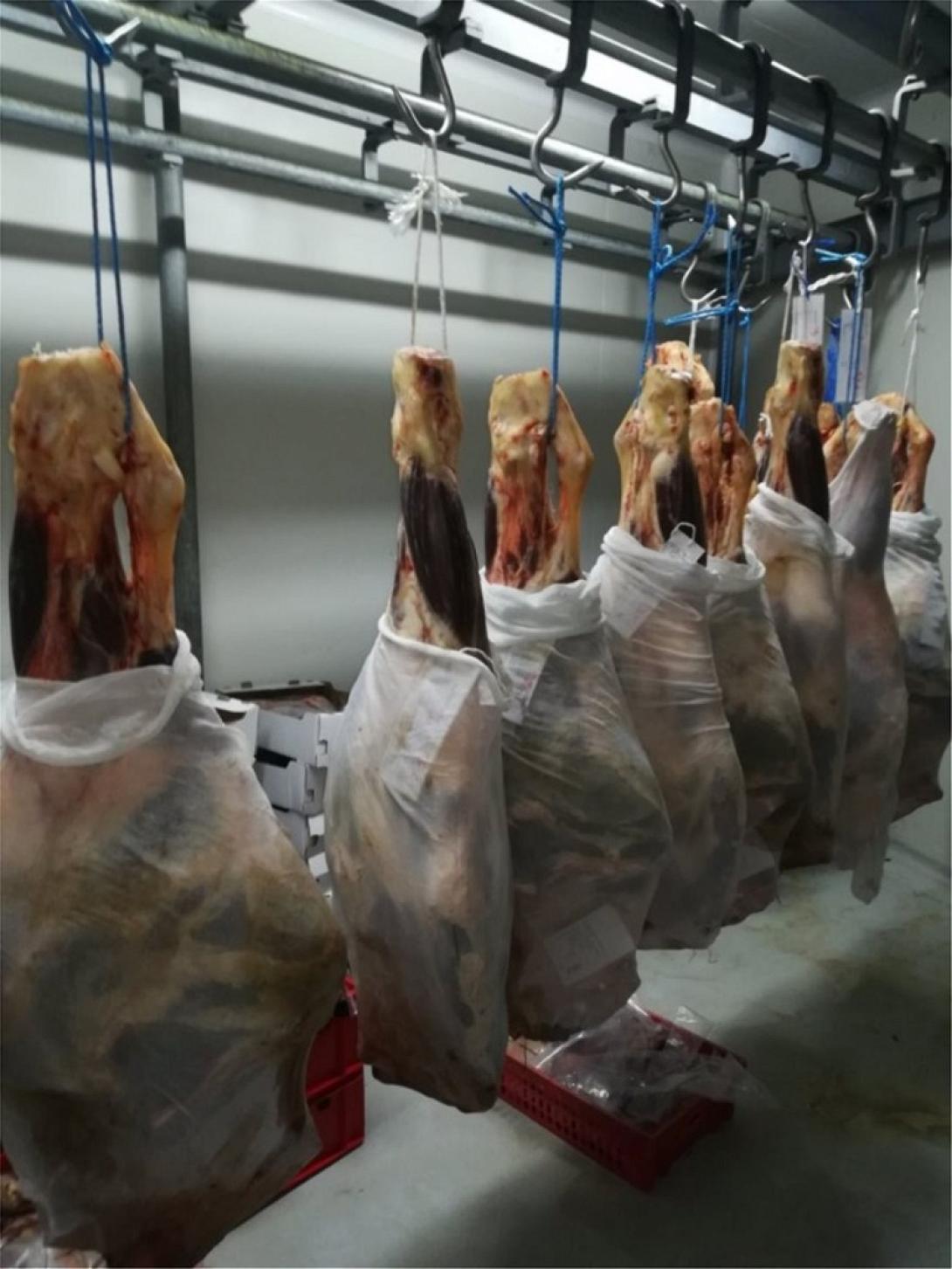 ακαταλληλα κρεατα